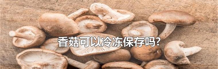 新鲜蘑菇该如何保存？（掌握这些技巧，让蘑菇保鲜更长久）-第3张图片-绿意生活