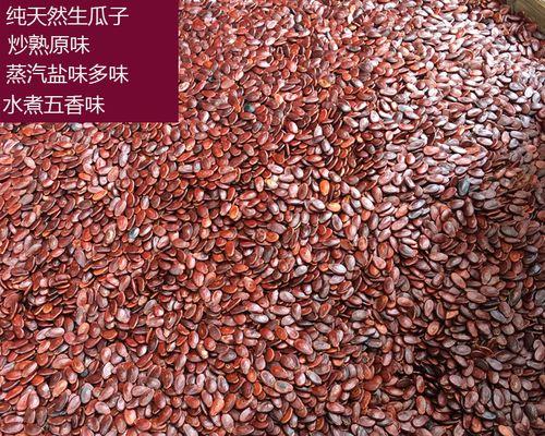 探秘红瓜子（认识红瓜子的来源、特点和用途，让你爱上这个神奇的果实）-第3张图片-绿意生活