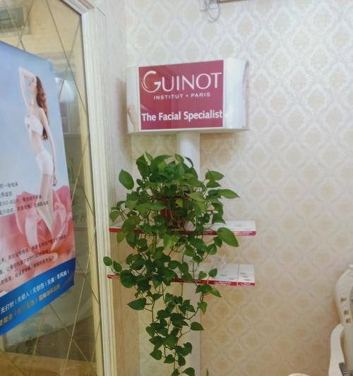 美容店门口的植物主题设计（以清新、美丽为主题，为美容店增添绿色气息）-第3张图片-绿意生活