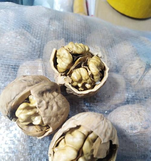 如何轻松剥壳保存完整的核桃肉（核桃剥壳技巧及存储方法）-第2张图片-绿意生活