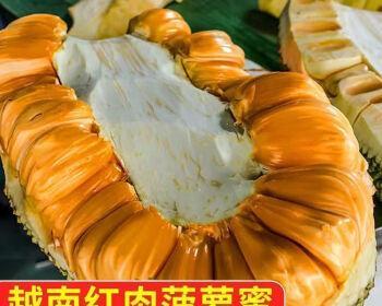 红肉菠萝蜜——热带水果的鲜美佳品（几月份成熟上市？红肉菠萝蜜的产地与营养价值一探究竟）-第2张图片-绿意生活