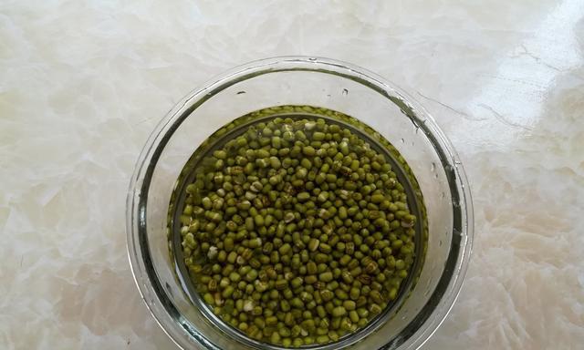 绿豆是什么形状？-揭开绿豆神秘面纱（探索绿豆的外形、特征和应用）-第1张图片-绿意生活