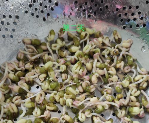 绿豆是什么形状？-揭开绿豆神秘面纱（探索绿豆的外形、特征和应用）-第2张图片-绿意生活