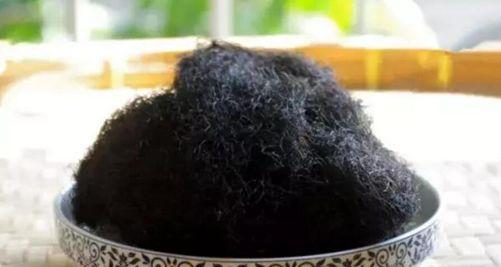 揭秘发菜——一种神奇的海藻植物（探究发菜的种类、产地及食用功效）-第2张图片-绿意生活