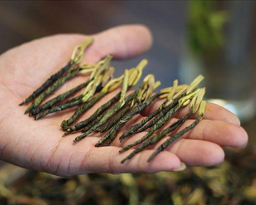 了解苦丁茶——一种盛行于云南的饮品（探寻苦丁茶的生长环境、历史文化和健康功效）-第3张图片-绿意生活