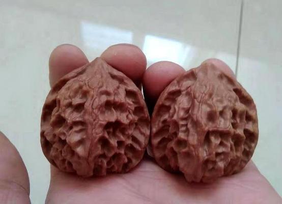 如何选择优质的三棱核桃品种？（从产地、外观、口感、保鲜等方面分析优质三棱核桃）-第1张图片-绿意生活