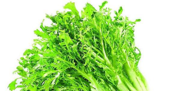 苦苣菜的营养价值及生食方法（探究苦苣菜的特点和营养价值，分享美味生食方法）-第2张图片-绿意生活