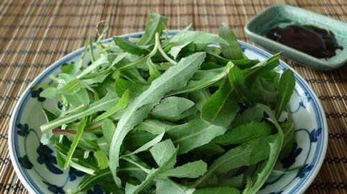 苦苣菜的营养价值及生食方法（探究苦苣菜的特点和营养价值，分享美味生食方法）-第3张图片-绿意生活