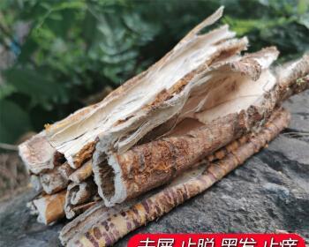 探秘桑树根的神奇功效（从营养到医疗，桑树根多功能大揭秘）-第3张图片-绿意生活
