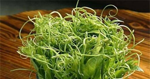 发菜属于什么植物类型？揭秘发菜的神奇之处-第1张图片-绿意生活