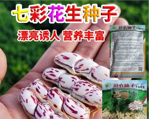 花生有多少品种？揭开花生的品种之谜，了解它的全貌-第2张图片-绿意生活