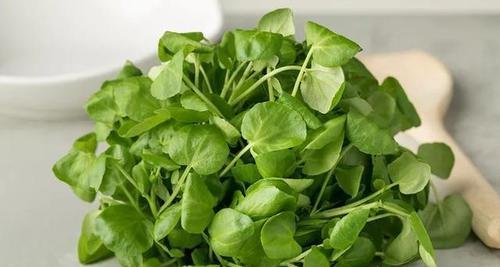 苦苣菜有哪些营养价值？探秘苦苣菜的药食两用-第3张图片-绿意生活