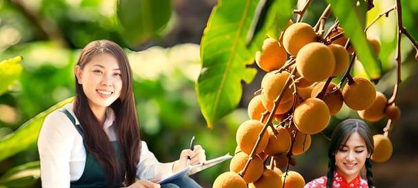 杨梅树开花时间及注意事项（了解杨梅树的开花规律，让你的果园更丰收）-第1张图片-绿意生活