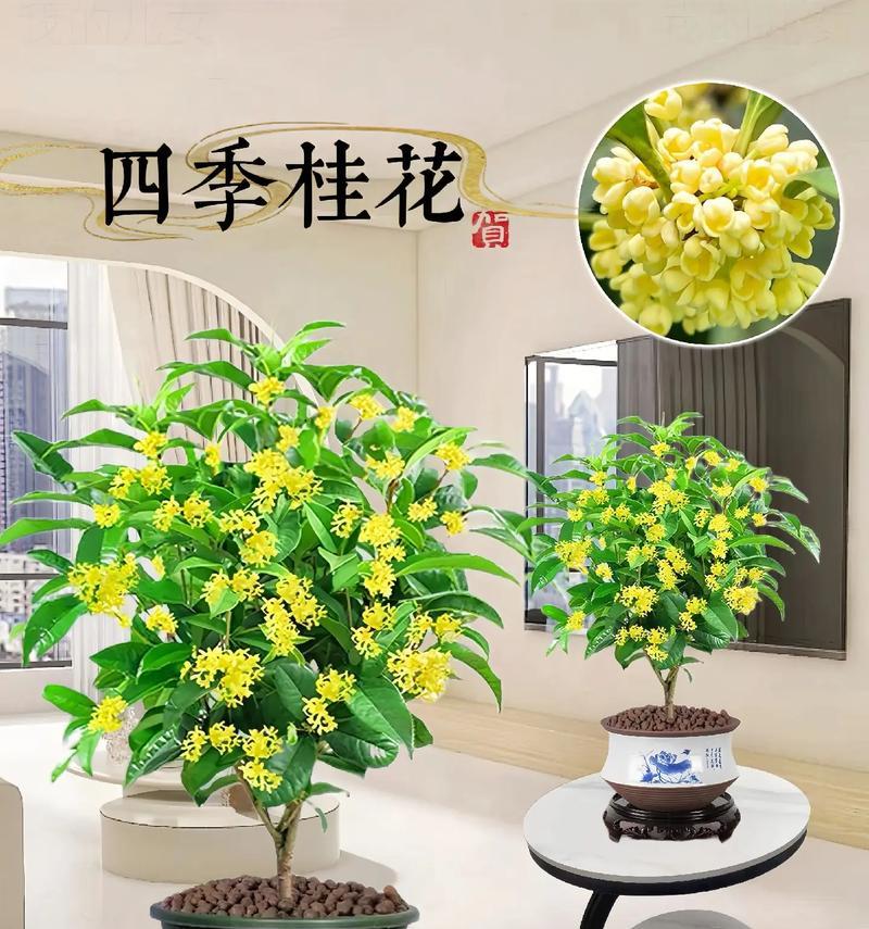 家庭养护（关键在于管理）-第2张图片-绿意生活
