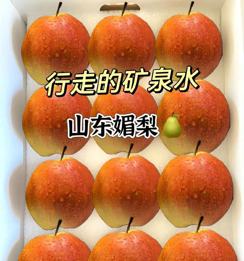 山东梨产地在哪里？（探寻中国最大梨果生产基地）-第2张图片-绿意生活