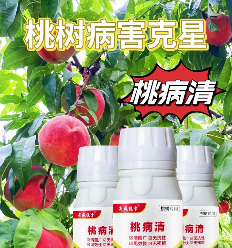 如何选择有效的农药保护桃树？（了解桃树的常见病害和防治方法）-第2张图片-绿意生活