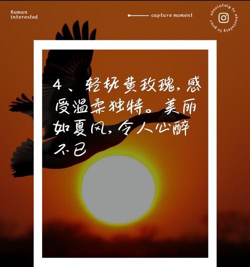 如何养殖黄玫瑰更旺盛（黄玫瑰养殖技巧，打造美丽花园）-第1张图片-绿意生活