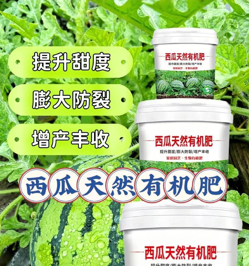 西瓜需要每天浇水吗？（揭开西瓜浇水的真相，养出甜美多汁的西瓜！）-第1张图片-绿意生活