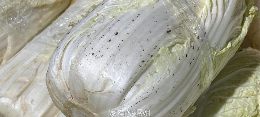 大白菜黄叶病的原因与治疗（探究病因，有效治疗）-第1张图片-绿意生活