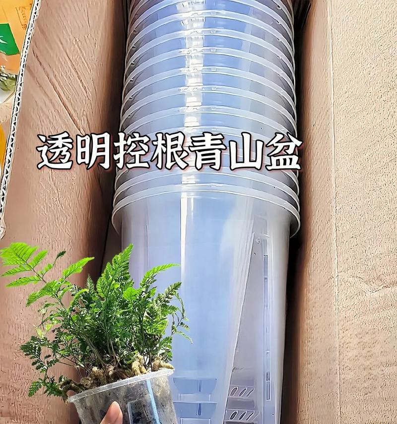 蝴蝶兰换盆攻略（最佳时间和正确方法，让蝴蝶兰生长更健康）-第1张图片-绿意生活