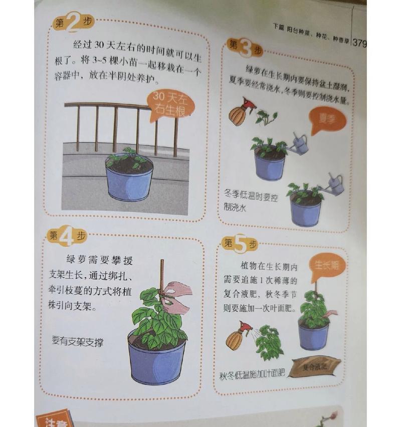 如何科学地给绿萝浇冬季水？（绿萝养护必备，干燥和过湿都要避免，注意哪些细节？）-第3张图片-绿意生活