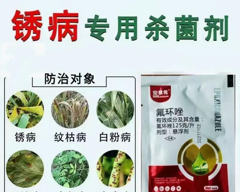 花生炭疽病的防治方法（探究花生炭疽病的发病原因及有效治疗方法）-第1张图片-绿意生活