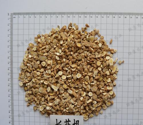 揭秘板蓝根的根形态——板蓝根根的形态特征（探究板蓝根根的特点，从颜色到形态一一解读）-第2张图片-绿意生活