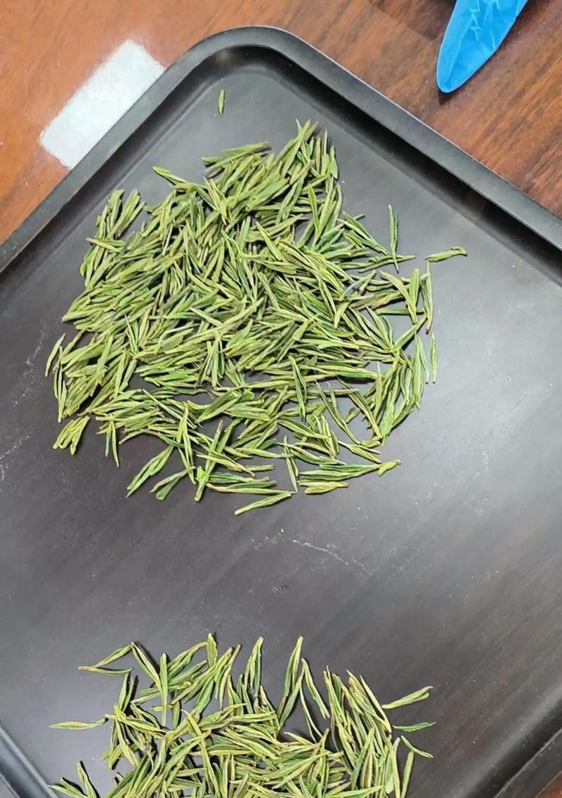 探寻白茶的故乡——福建省（白茶的起源、品质、种植、采摘、制作、保存、饮用和文化）-第3张图片-绿意生活
