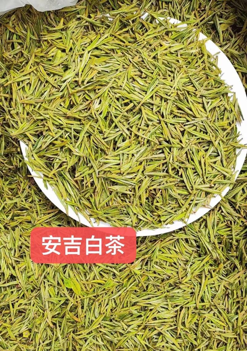 探寻白茶的故乡——福建省（白茶的起源、品质、种植、采摘、制作、保存、饮用和文化）-第2张图片-绿意生活