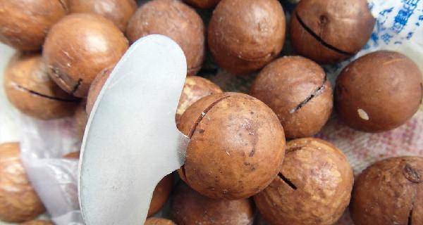 夏威夷果到底能不能生吃？（科学家研究结果揭秘生吃夏威夷果的真相）-第2张图片-绿意生活