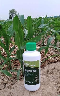 氮肥的种类及其应用领域（了解氮肥的多样性，提高农业生产效率）-第1张图片-绿意生活