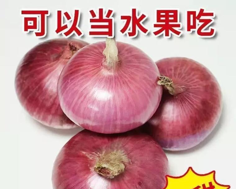 洋葱水培还是土培？如何选择？（探讨洋葱水培与土培的区别及优缺点，为您提供种植参考。）-第1张图片-绿意生活