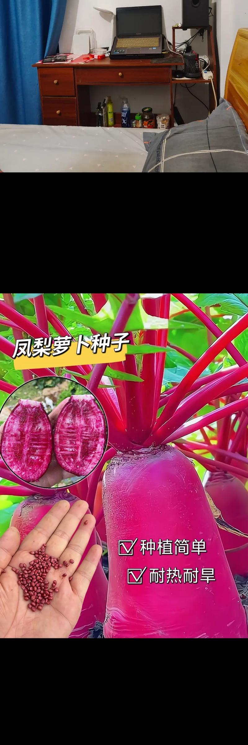 菠萝种子的营养价值与食用方法-第2张图片-绿意生活