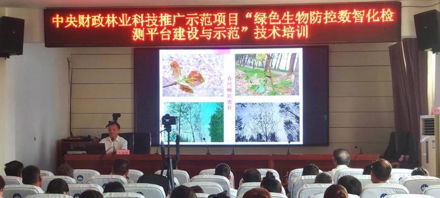 杨树病虫害防治技术与方法措施（保护绿色环境关注杨树健康）-第1张图片-绿意生活