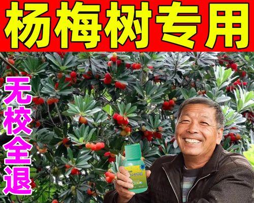 营养液浇葱有效吗？（探究营养液对葱的生长效果及使用技巧）-第3张图片-绿意生活