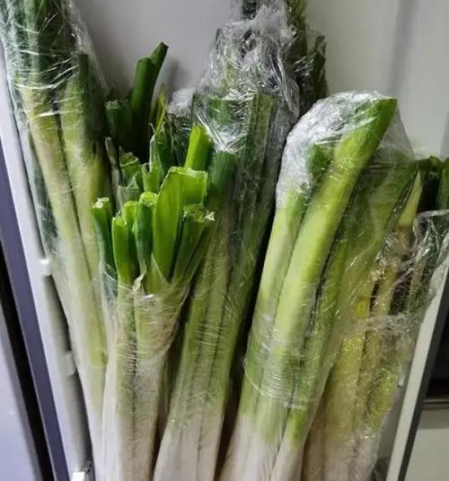 冷冻是最佳选择（冷冻是最佳选择）-第1张图片-绿意生活