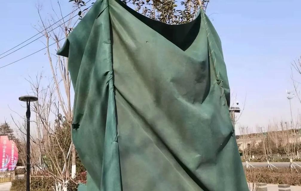 怎样解决桂花叶子蔫了的问题？（打蔫原因及补救方法）-第2张图片-绿意生活