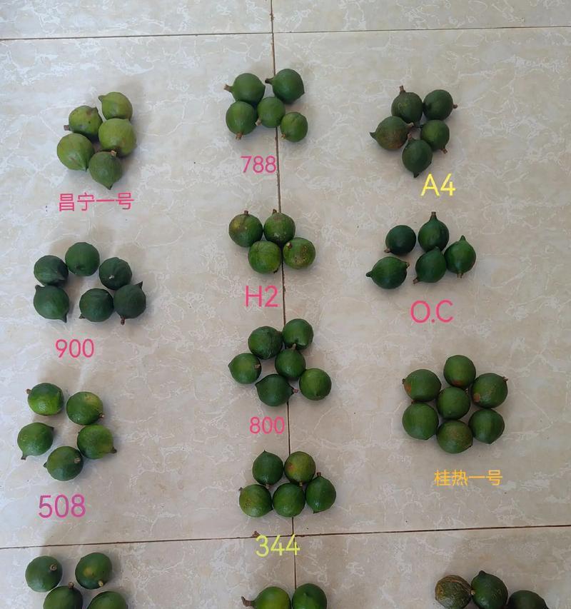 澳洲坚果修剪时间详解（让你在正确的时间修剪坚果树，收获更丰厚）-第3张图片-绿意生活