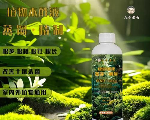 白醋的神奇之处——多肉植物的保健良药-第1张图片-绿意生活