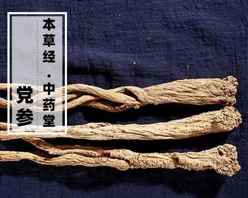 党参的生长环境与生长地方条件（探究党参生长所需的理想条件）-第3张图片-绿意生活