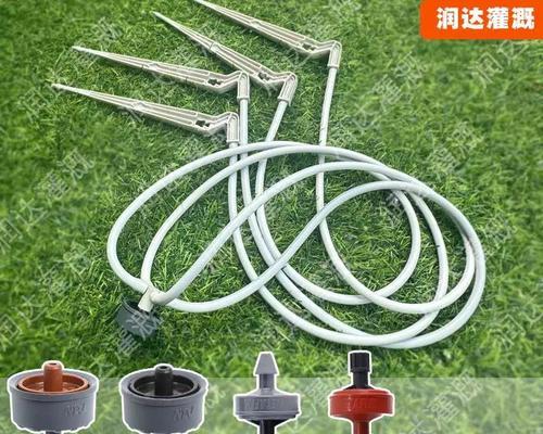 蓝莓的水分管理（多久浇一次水比较好，需要经常浇水吗）-第2张图片-绿意生活