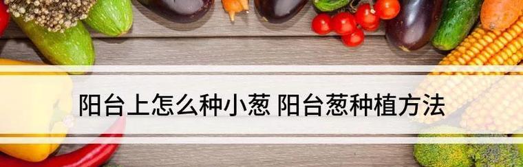 阳台种植香葱的时间和方法（春季适宜，选择好土壤和容器）-第3张图片-绿意生活