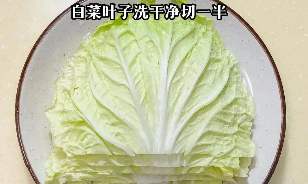如何洗圆白菜才能确保食品安全？（圆白菜的营养价值和洗涤的必要性；选择洗涤方法；步骤一）-第2张图片-绿意生活