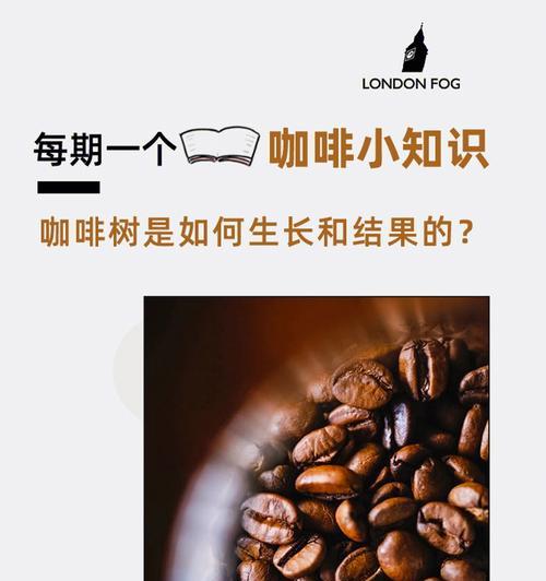 探秘咖啡树品种分类及特点（从阿拉比卡到罗布斯塔，了解主流咖啡树品种）-第3张图片-绿意生活