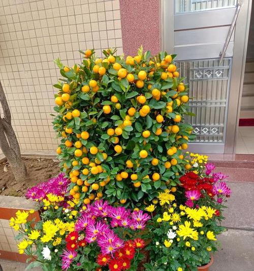 广东适宜种植的花卉（探秘广东花海，美丽花卉盛放）-第1张图片-绿意生活