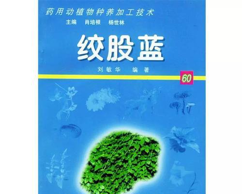 如何选择最佳的绞股蓝种子种植时间？-第1张图片-绿意生活