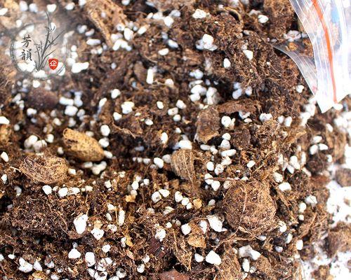 花生壳，种兰花的新宠（花生壳能否成功种兰花？成功的秘诀在这里！）-第1张图片-绿意生活