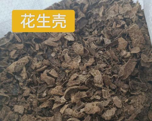 花生壳，种兰花的新宠（花生壳能否成功种兰花？成功的秘诀在这里！）-第2张图片-绿意生活