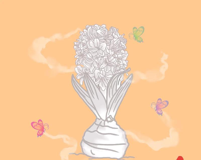 寻找和风信子的“姊妹花”（品味花海中的美丽花卉）-第3张图片-绿意生活