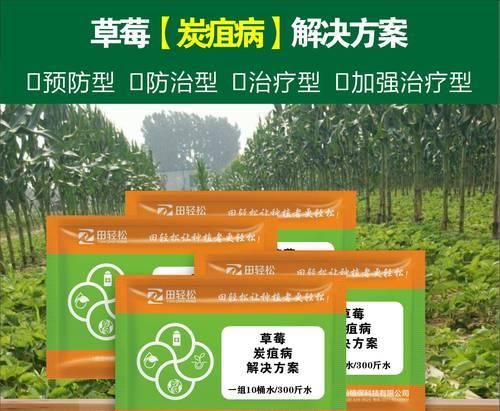 草莓病虫害防治方法与技术措施（掌握这些技巧，让草莓保持健康生长）-第3张图片-绿意生活